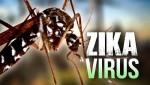 Bộ Y tế chỉ đạo phòng ngừa virus Zika ăn não người