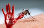 Thông điệp khuyến cáo phòng chống bệnh do vi rút Zika