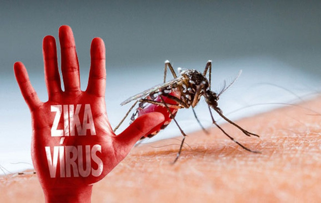 Thông điệp khuyến cáo phòng chống bệnh do vi rút Zika