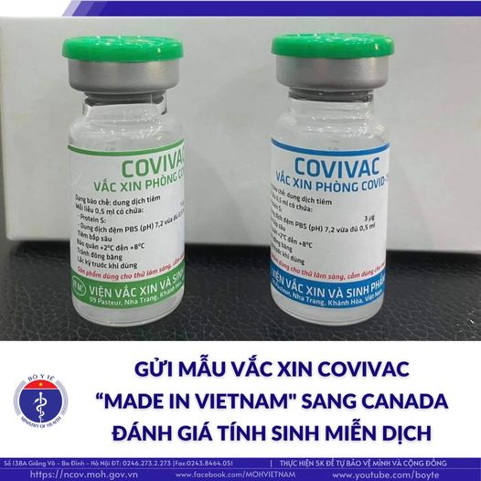 Vắc xin Covivac do Việt Nam nghiên cứu đã xong giai đoạn 1, với đánh giá an toàn, sinh miễn dịch khả quan. Ành VMC